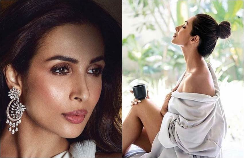 Malaika Arora, Arjun Kapoor, Malaika Arora Arjun Kapoor Relationship, Farah Khan, Malaika Arora Arjun Kapoor Viral Photo Farah Khan Reveal, मलाइका अरोड़ा, अर्जुन कपूर, फराह खान