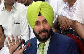 Elections 2019, Navjot Singh Sidhu, Quit, Politics, Rahul Gandhi, Congress, Amethi, Lose, Elections, Nationalism, UPA Chairperson, Sonia Gandhi, MP, Rae Bareli, UP, National News, Hindi News