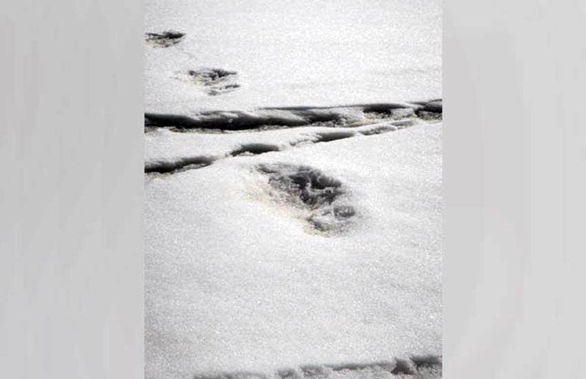 भारतीय सेना ने ट्वीट कीं तस्वीरें। फोटो सोर्स : @adgpi भारतीय सेना ने ट्वीट कीं तस्वीरें। फोटो सोर्स : @adgpi