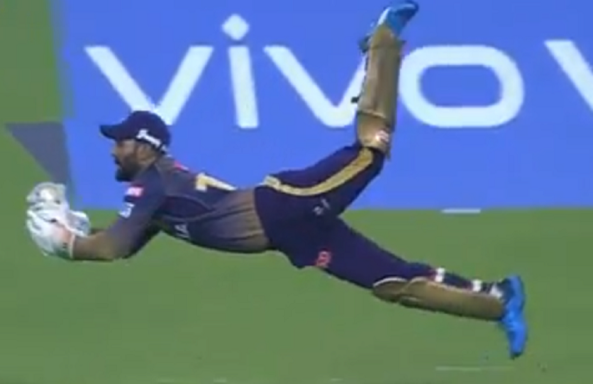 IPL 2019: पृथ्वी शॉ का कैच पकड़ते केकेआर के कप्तान दिनेश कार्तिक।(source- IPL Official site)