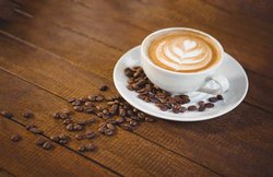 कैलोरी बर्न करने की कर रहे हैं कोशिश, तो इन फूड्स को डाइट में जरूर करें शामिल