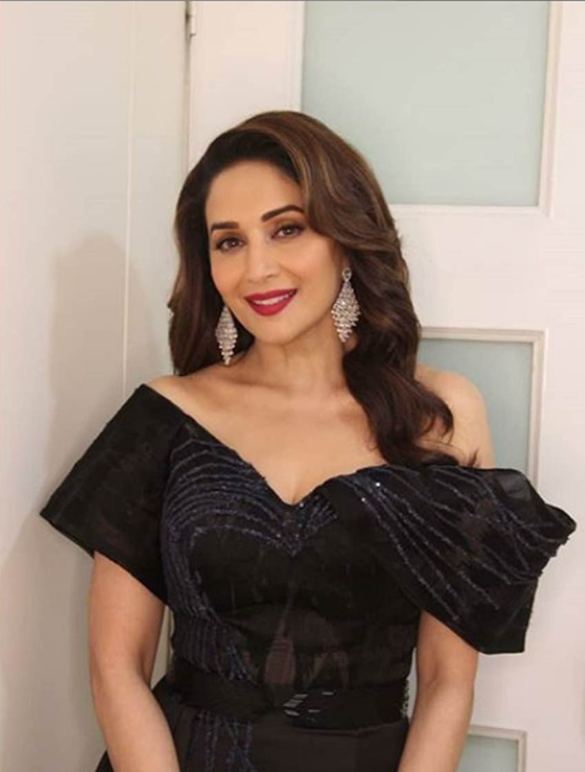 2019 loksabha election, sapna choudhary, sunny deol, shilpa shinde, arshi khan, madhuri dixit, loksabha election bollywood celebs, urmila, nirhua, bjp, congress