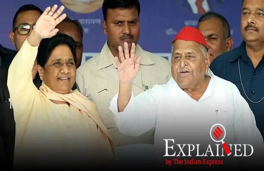 मंच पर मुलायम सिंह के पहुंचने पर मायावती ने खड़े होकर उनका स्वागत किया। मायावती ने कहा कि मैनपुरी के लोग मुलायम को असली नेता मानते हैं, खासकर पिछड़े वर्ग के लोग। मुलायम प्रधानमंत्री नरेंद्र मोदी की तरह फर्जी पिछड़े वर्ग के नहीं हैं। 
