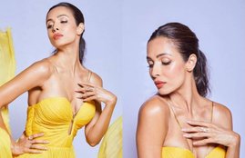 Malaika arora, malaika arora bikini picture, arjun kapoor, malaika arora slams trolls, मलाइका अरोड़ा, Bollywood Photos, Latest Bollywood Photographs, Bollywood Images, Latest Bollywood photos