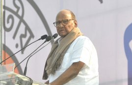 ncp, sharad pawar, lok sabha election 2019
