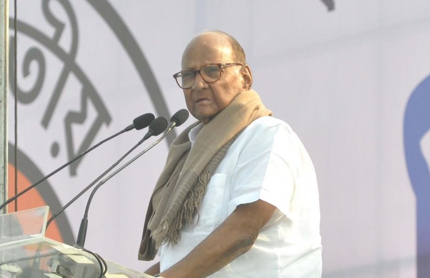 ncp, sharad pawar, lok sabha election 2019