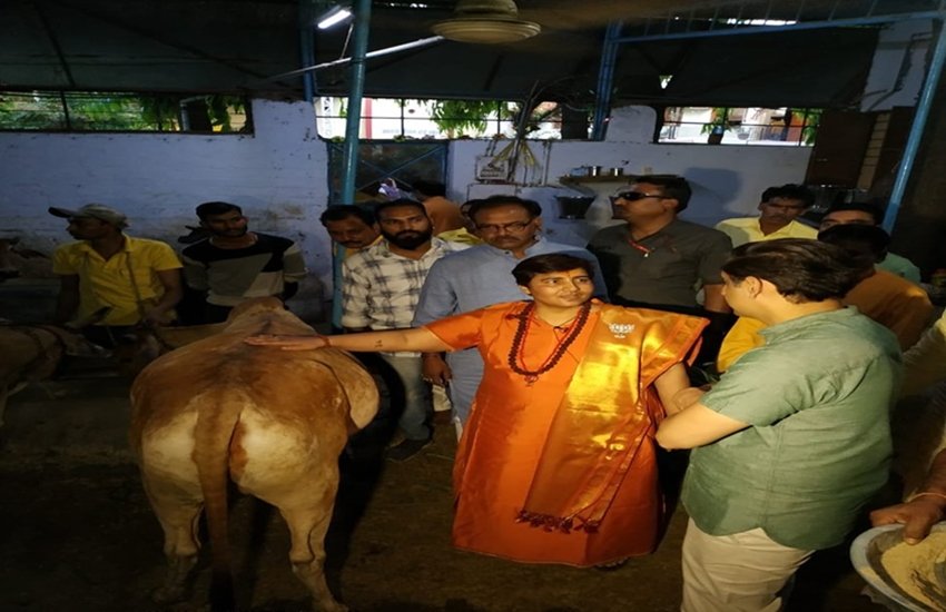 भाजपा प्रत्याशी साध्वी प्रज्ञा। 