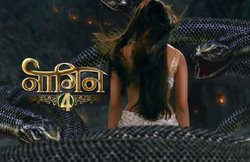 Mouni Roy, सुरभि ज्योति या फिर हिना खान, एकता कपूर के Naagin 4 की नई नागिन का सस्पेंस बरकरार?