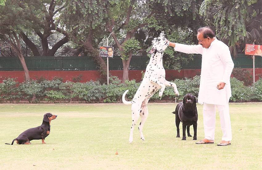 केंद्रीय मंत्री व प्रत्याशी डॉ हर्षवर्धन केंद्रीय मंत्री व प्रत्याशी डॉ हर्षवर्धन