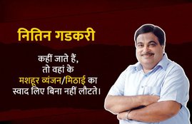 Loksabha Elections 2019, Nintin Gadkari, Union Minister, BJP, Health, BP, Low, Faint, Hotel, Shimla, Himachal Pradesh, Doctors, State News, National News, Hindi News