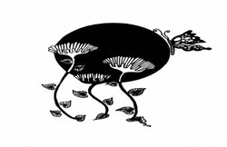 बाजार और महिलाएं