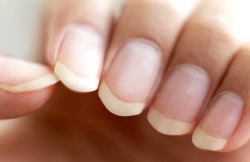 nail, nail prediction, samundra shastra, how nail predict future, nail tells about you, palmistry, नाखुनों से जानें भविष्य, नाखुन, नाखुनों के बारे में, नाखुनों से भविष्य की जानकारी, palm reading, nail tell about your future