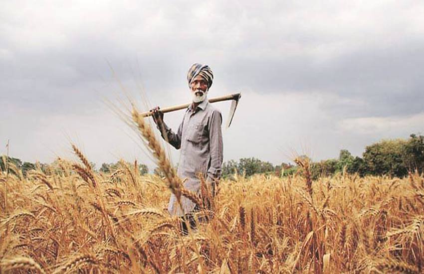 प्रतीकात्मक तस्वीर (इंडियन एक्सप्रेस)
