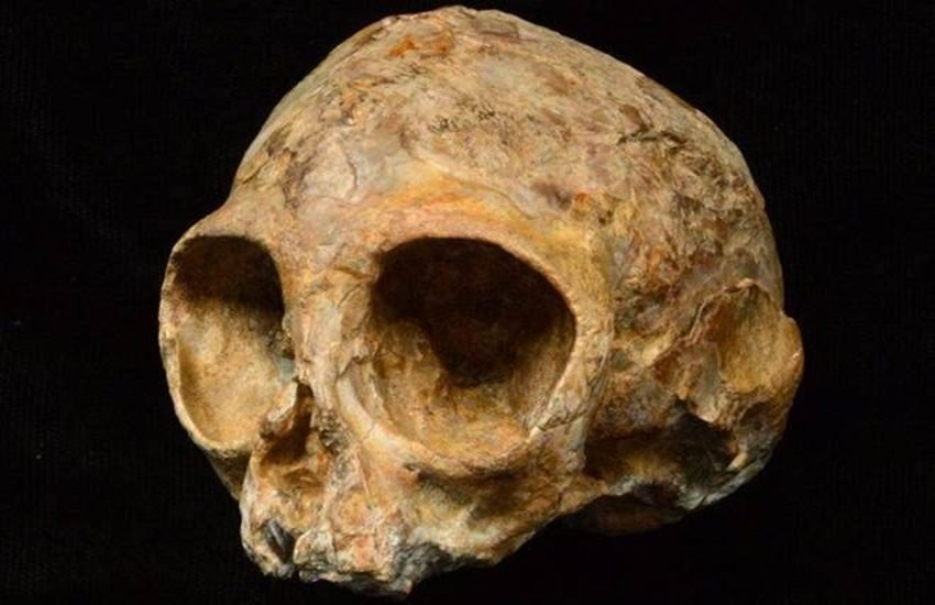 crime, crime news, murder crime, crime news, murder