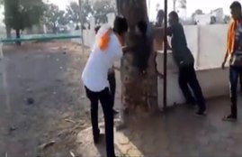 Viral Video