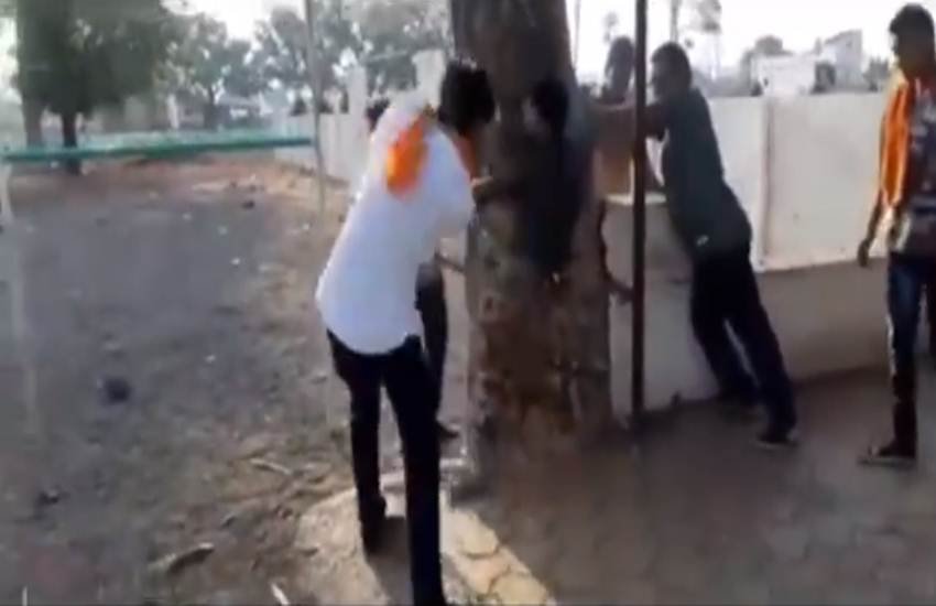 Viral Video