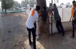 नतीजों के बीच एमपी में गोरक्षा के नाम पर मुस्लिम युवक को जमकर पीटा, ओवैसी ने कहा- नए भारत में स्वागत है