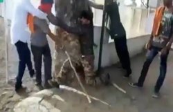 गोरक्षकों का खौफ: बीफ ले जाने के शक में मुस्लिम समेत पीटे गए थे 2 युवक, बोले- पुलिस के पास जाते तो हो जाती हमारी हत्या