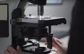 microscope