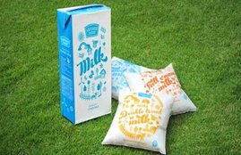 mother dairy