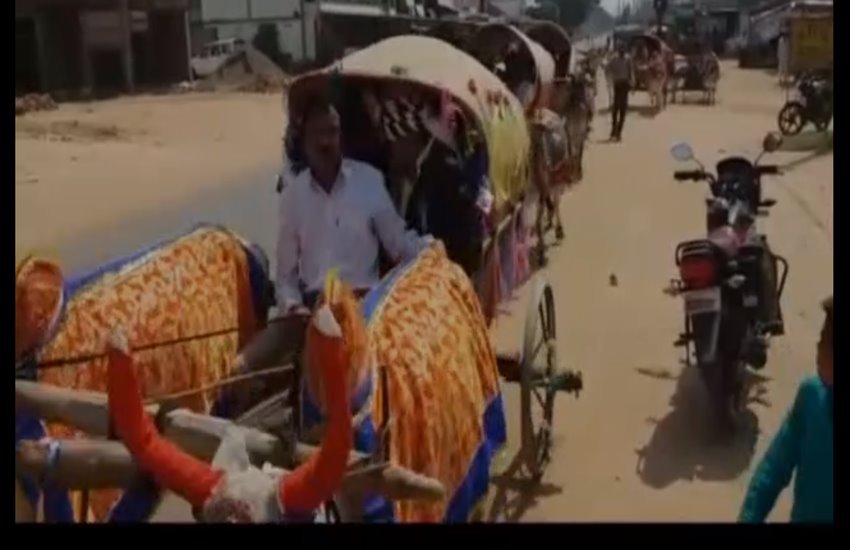 एमपी में बैलगाड़ी से निकली बारात 
फोटो सोर्स- सोशल मीडिया 
