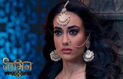 Naagin 3 Last Episode Preview: महानागरानी-नागरानी ने लिया इंतकाम का बदला, देखें ‘नागिन’ की जंग का आखिरी वीडियो