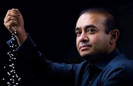PNB Scam, Nirav Modi, Fugitive Businessman, Diamond Businessman, Shock, Singapore HC, Singapore, Order, Freeze, Rupees 44.41 Cr, Bank Account, Pavilion Point Corp, British Virgin Island, ED, India, Nirav Modi News, PNB Scam News, India News, National News, Hindi News