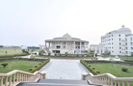 noida international university