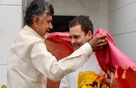 rahul gandhi, chandrababu naidu