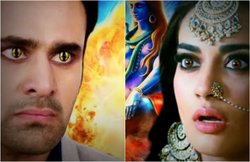 Naagin 4 में श्रावनी के सामने खुलेगा मीहिर का राज, कहानी में आएगा ये दिलचस्प मोड़!