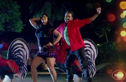 VIDEO: आते ही छा गया ‘जबले ना मुर्गा बोलेगा’, शुभी शर्मा के साथ Nirahua ने मचाया बवाल