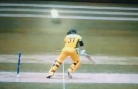 David Warner
