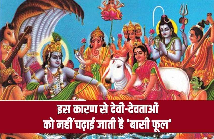 God, Goddess, stale flowers, Why flowers offered to god, Why stale flowers not offered to god, worship, flower, dharma, puja, भगवान को मुरझाए फूल क्यों नहीं चढ़ाना चाहिए, भगवान को बासी फूल क्यों नहीं चढ़ाना चाहिए, देवी-देवताओं को बासी फूल क्यों नहीं चढ़ाना चाहिए, lord shiva, shiv, belpatra, religion news