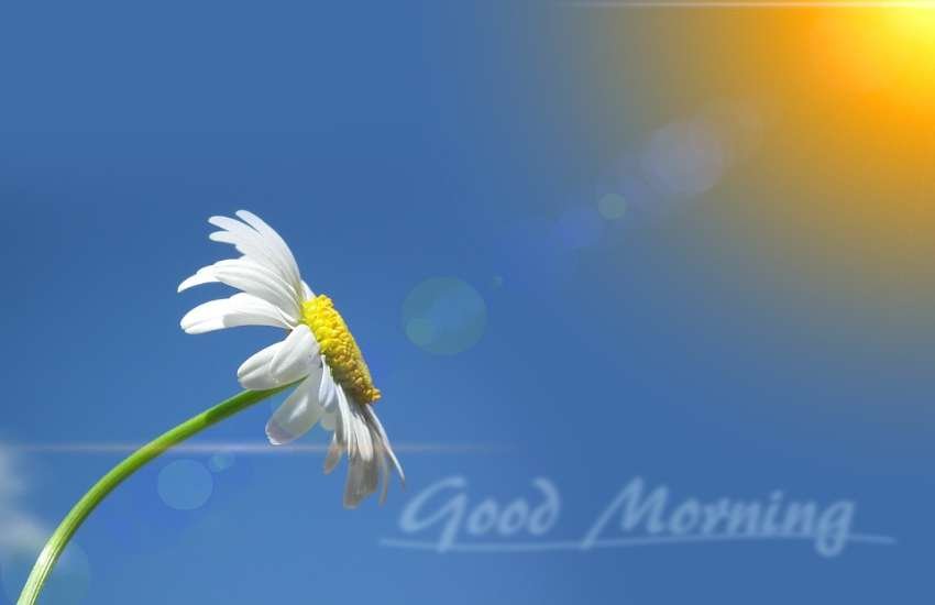good morning, good morning messages, good morning image, good morning images, good morning wishes images, good morning quotes
