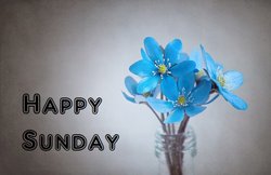 Happy Sunday Wishes Images, Quotes, Wallpaper, Status: जानिए दुनिया में संडे की छुट्टी कहां से शुरू हुई