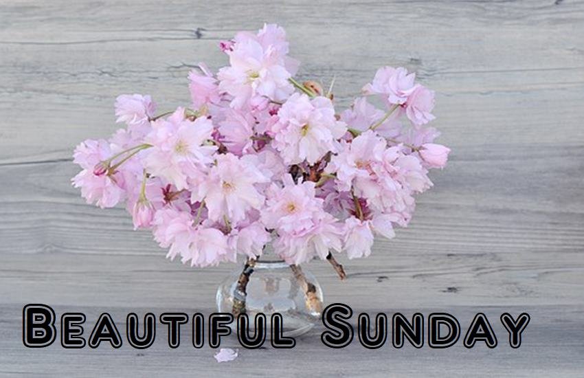 happy Sunday, happy Sunday image, happy Sunday good morning, good morning Sunday image, good morning Sunday quotes, happy Sunday quotes