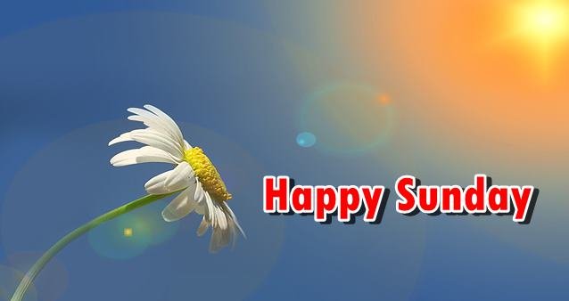 happy Sunday, happy Sunday image, happy Sunday good morning, good morning Sunday image, good morning Sunday quotes, happy Sunday quotes