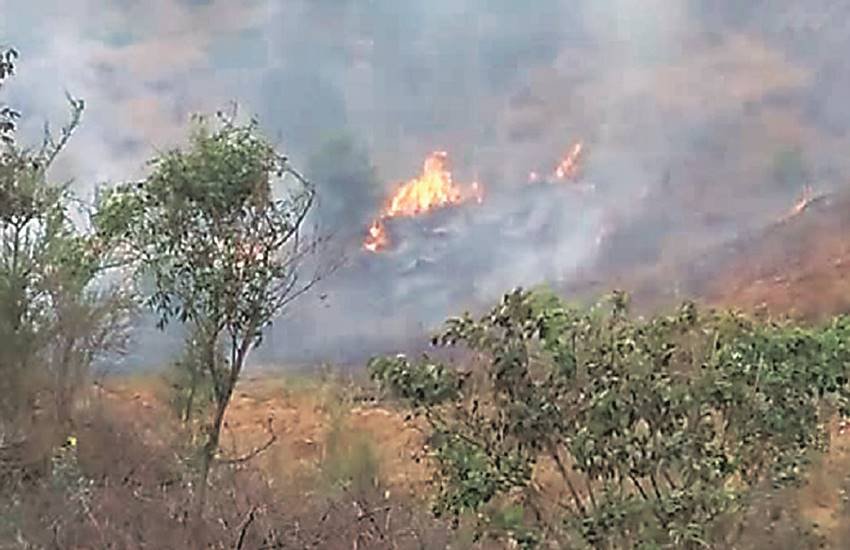 कुमाउं मंडल के नैनीताल और अल्मोड़ा जिलों में आग की सबसे अधिक घटनाएं सामने आई हैं। 