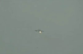 aguar,aircraft,bird,जगुआर,विमान,पक्षी