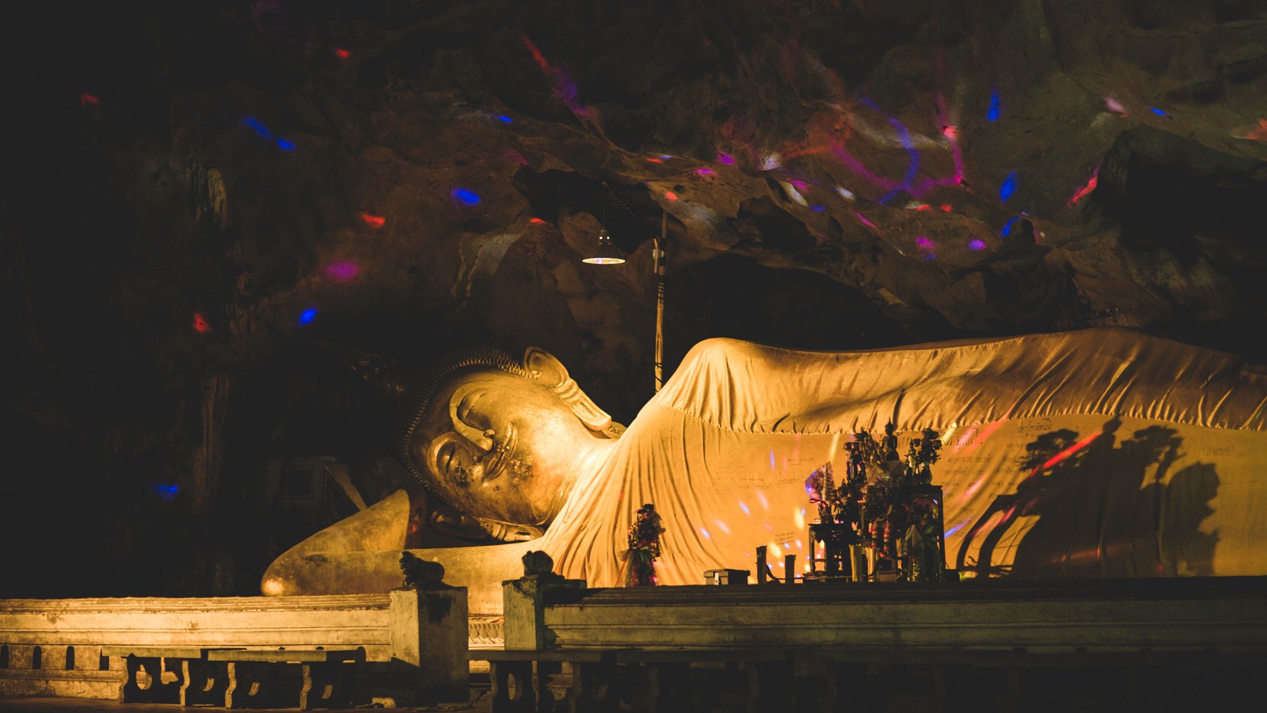 Vertebrates, Mammals, Animals, Wild boar, Selfie, Mountainside, New Jersey, Momentos, Australia, site manager, John McGowan, US Dollar, Cheong, coach, Thailand, Kraingkrai Kamsuwan, Mae Sai, diver, Sumalee, Kawee Prasomphol, Saman Gunan, SEAL diver, media