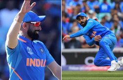 कॉटरेल के आउट होते ही शमी-कोहली ने उनकी स्टाइल में विदाई दी, वीडियो हो रहा वायरल
