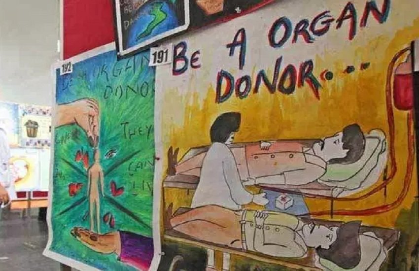 Organ Donor 2