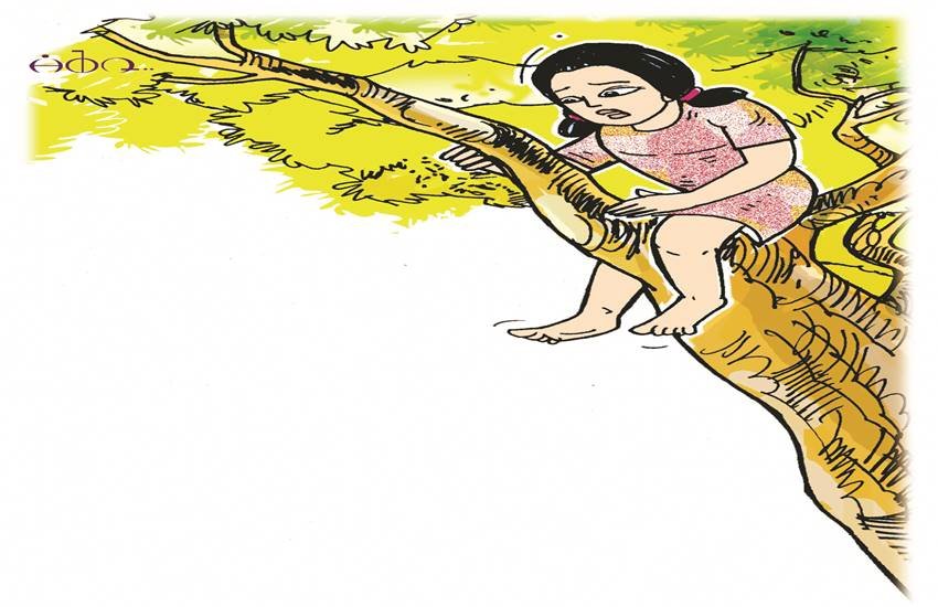 प्रतीकात्मक तस्वीर।