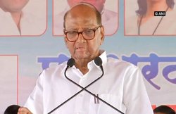 साध्वी प्रज्ञा सिंह ठाकुर पर शरद पवार का निशाना- बम धमाकों के आरोपियों को टिकट देना लोकतंत्र पर हमला करने जैसा