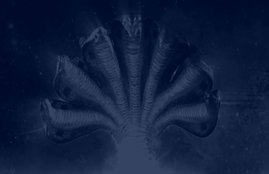 Sheshnag, Sheshnag fan, earth on Sheshnag fan, mahabharata, mahabharata story, mahabharata story on Sheshnag, Sage Kashyap, Kashyap rishi, kadru, vinta, mahabharata adi parva, mahabharata adi parva in hindi, mahabharata in hindi, mahabharata story, religion news