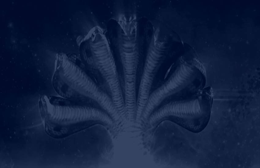 Sheshnag, Sheshnag fan, earth on Sheshnag fan, mahabharata, mahabharata story, mahabharata story on Sheshnag, Sage Kashyap, Kashyap rishi, kadru, vinta, mahabharata adi parva, mahabharata adi parva in hindi, mahabharata in hindi, mahabharata story, religion news Sheshnag, Sheshnag fan, earth on Sheshnag fan, mahabharata, mahabharata story, mahabharata story on Sheshnag, Sage Kashyap, Kashyap rishi, kadru, vinta, mahabharata adi parva, mahabharata adi parva in hindi, mahabharata in hindi, mahabharata story, religion news