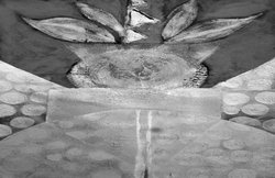 चर्चा: उचित जल-प्रबंधन की जरूरत