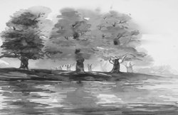 खत्म होती तालाब संस्कृति