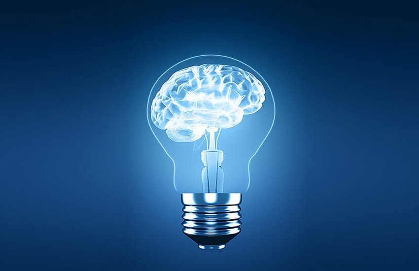 दिमाग को मजबूत बनाने के लिए सुपरफूड्स (Source: Dreamstime)