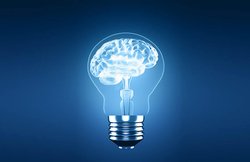 दिमाग को मजबूत बनाना है तो इन सुपरफूड्स को जरूर करें डाइट में शामिल